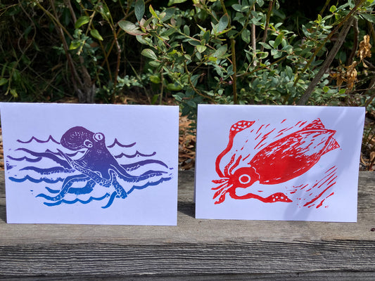 Gillian Ashenfelter- Mollusk Card Set