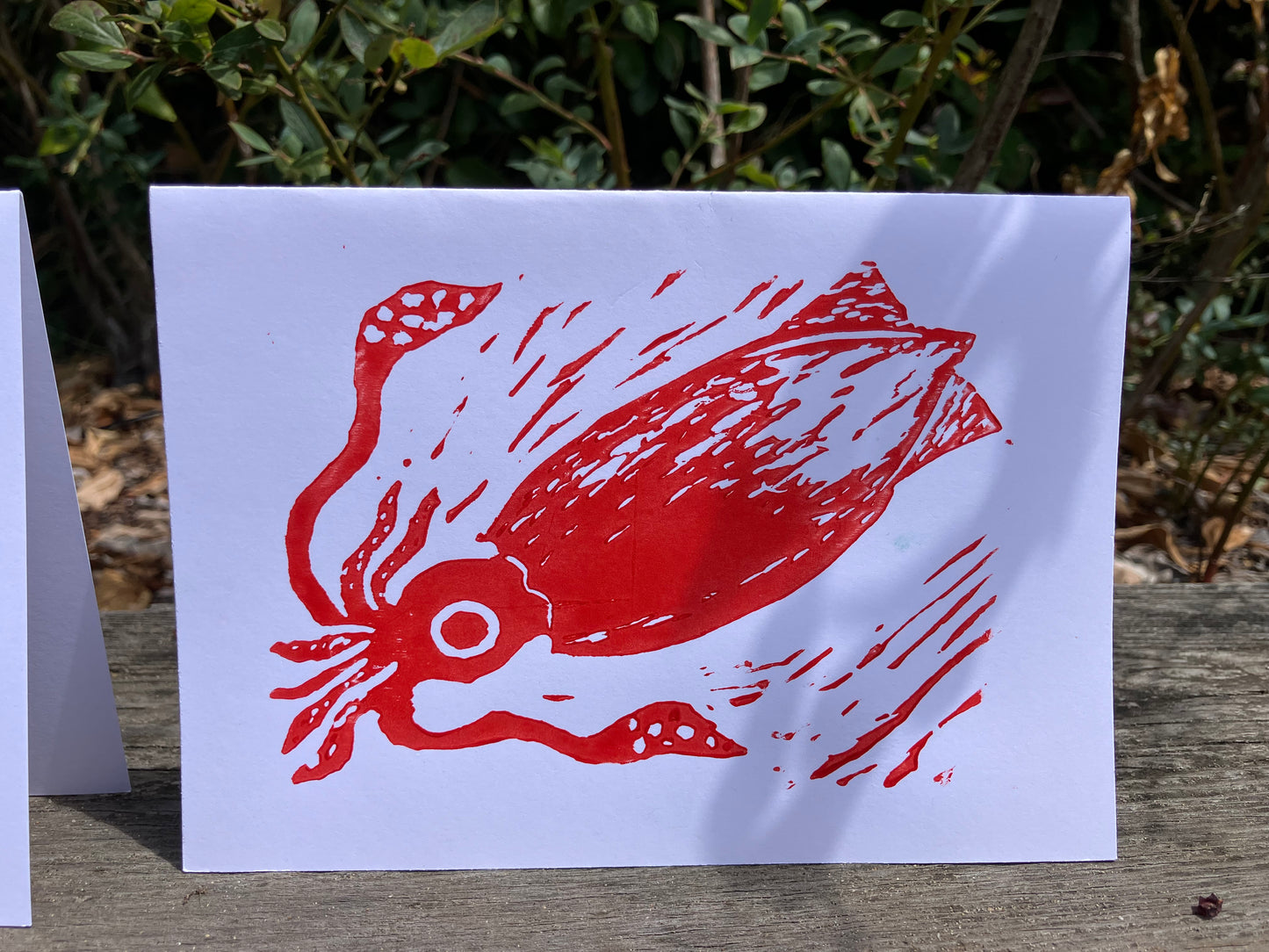 Gillian Ashenfelter- Mollusk Card Set