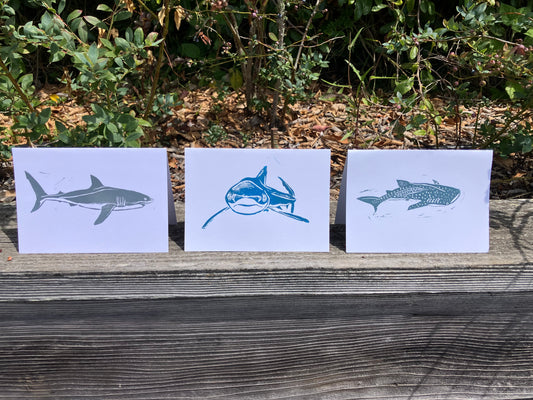 Gillian Ashenfelter- Pelagic Shark Trio Card Set