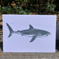 Gillian Ashenfelter- Pelagic Shark Trio Card Set