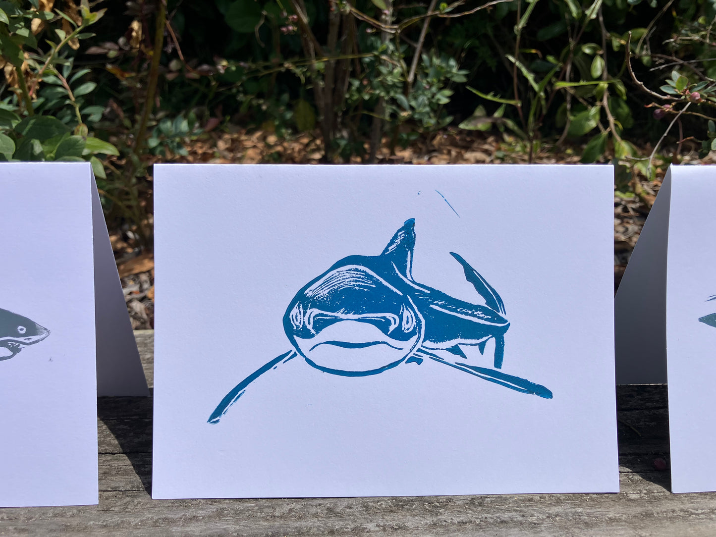 Gillian Ashenfelter- Pelagic Shark Trio Card Set