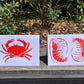 Gillian Ashenfelter- Arthropod Card Set