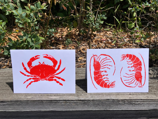 Gillian Ashenfelter- Arthropod Card Set