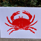 Gillian Ashenfelter- Arthropod Card Set