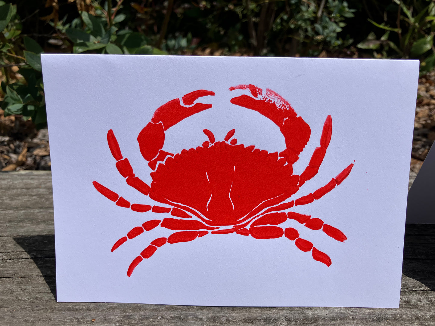 Gillian Ashenfelter- Arthropod Card Set