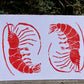 Gillian Ashenfelter- Arthropod Card Set