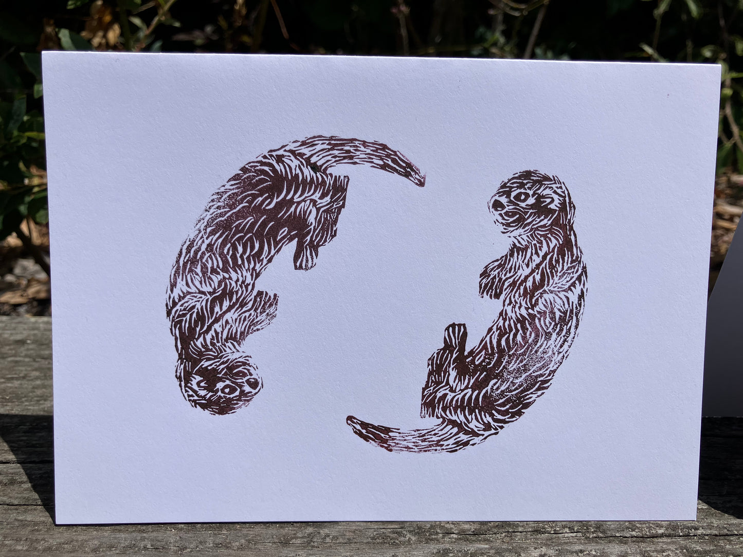 Gillian Ashenfelter- Playful Otter Card Set
