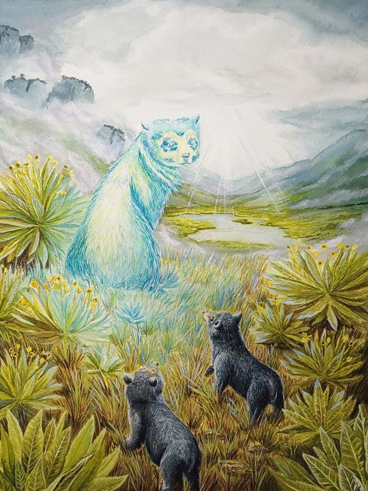 Diego Matiz- Legacy of the Andes