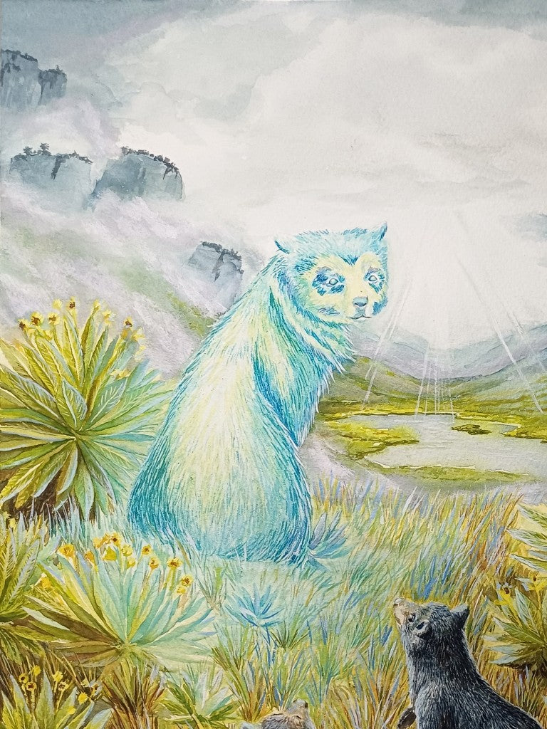 Diego Matiz- Legacy of the Andes
