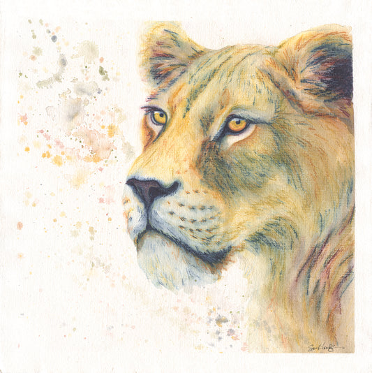 Sara Heslop- Lioness