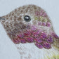 Angelica Apache Franco- Lucifer Hummingbird (young male)