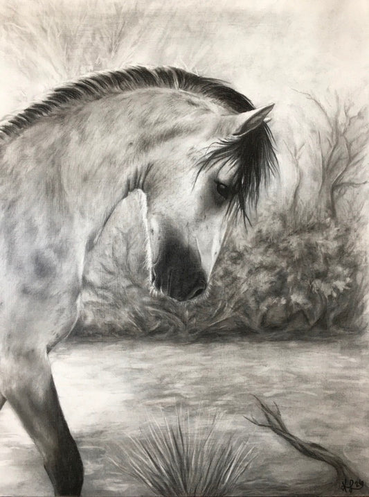 Kelly Lewis- Majestic Freedom