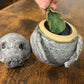 Hannah Nations- Manatee Jar with Lettuce Scoop