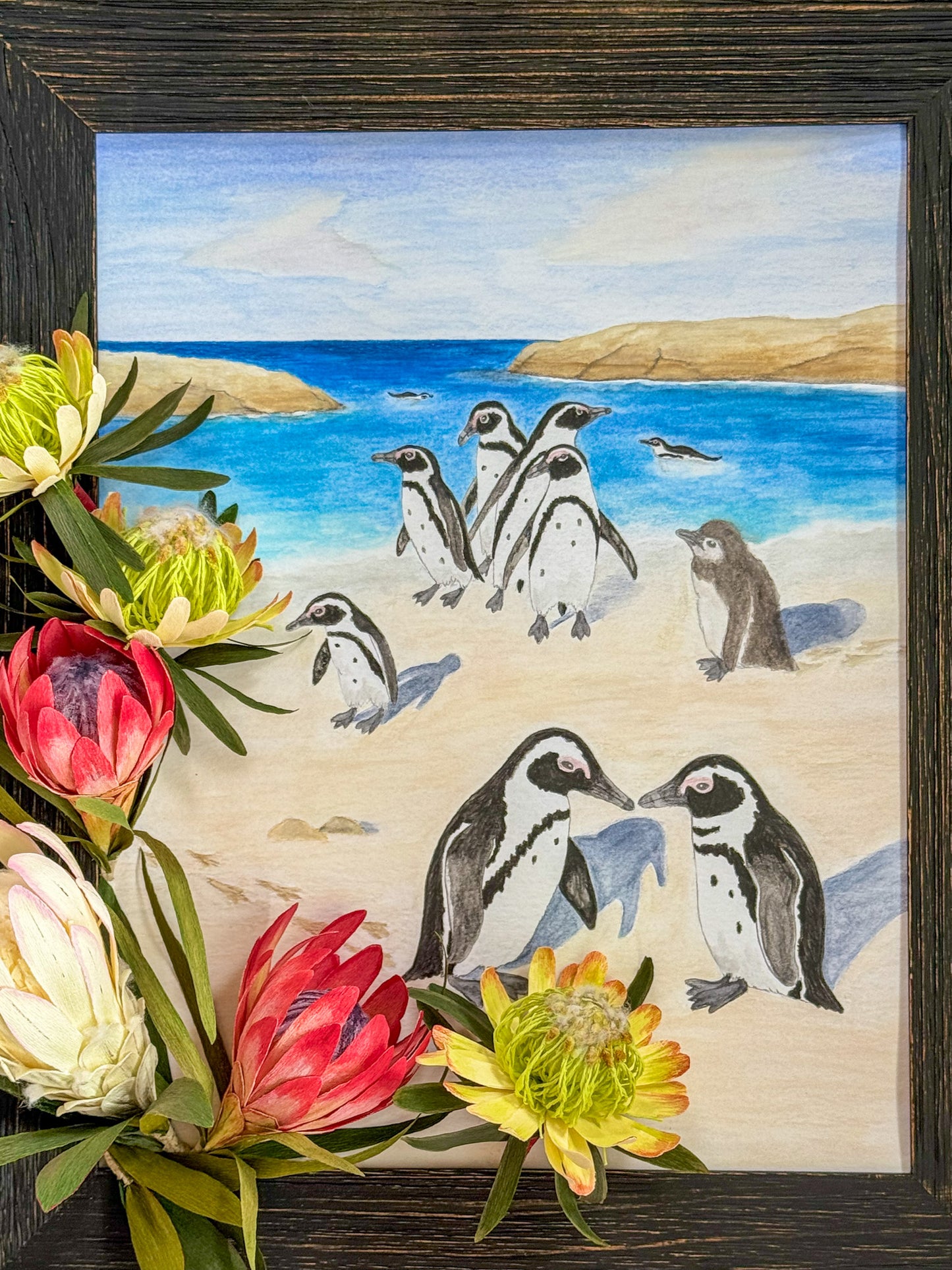 Christina Wilson- Meet Cute on Boulders Beach