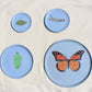Brooke Welch- Monarch Butterfly Plates