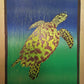 Nicole Chavez- Natural Hawksbill Sea Turtle