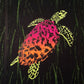 Ali Hassan- Fauna mundial