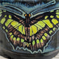 Melissa Rohrs- Green longwing butterfly mug