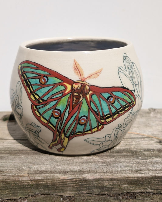 Melissa Rohrs- Spanish Moon Moth and Orchids Planter