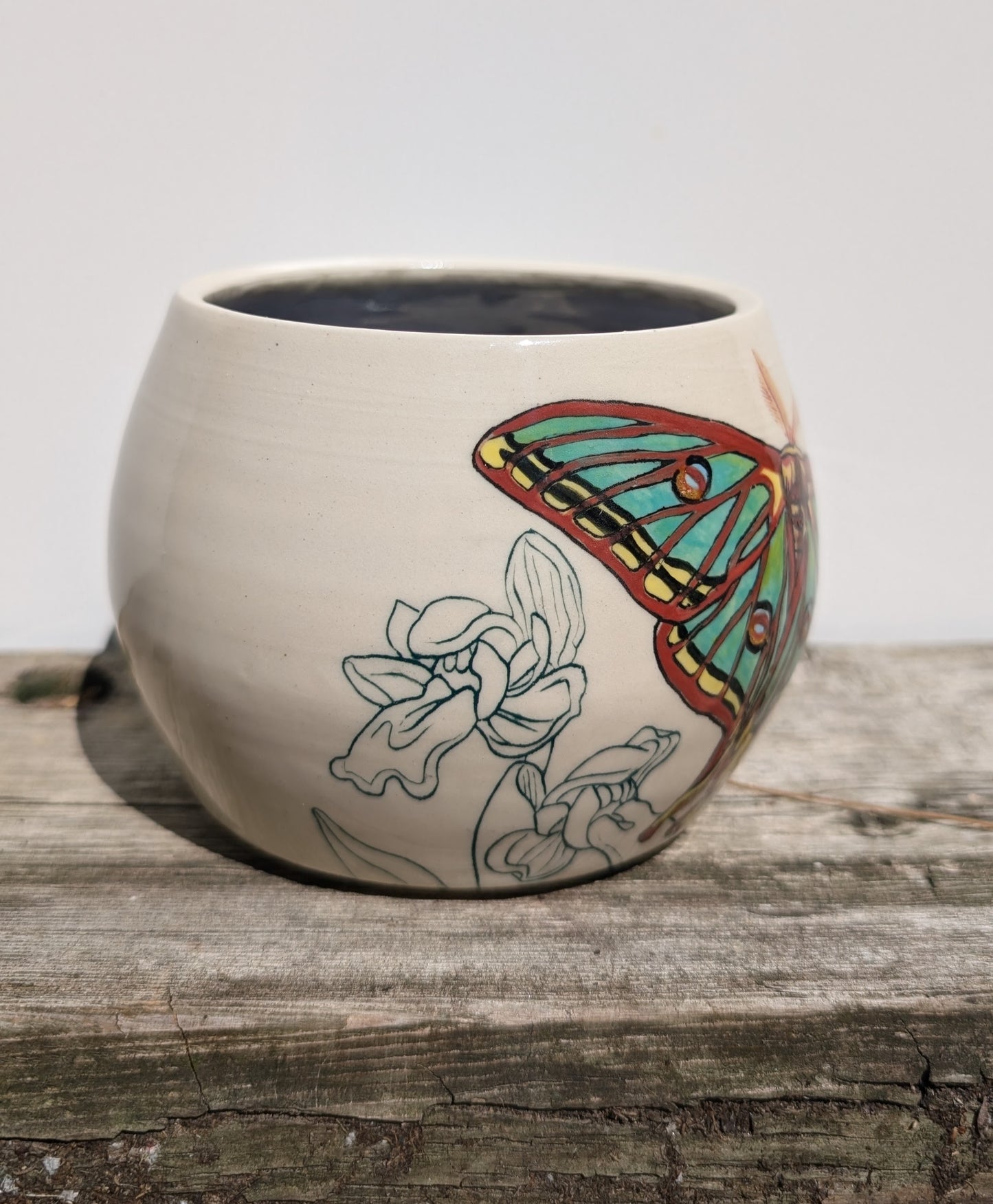 Melissa Rohrs- Spanish Moon Moth and Orchids Planter
