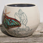 Melissa Rohrs- Spanish Moon Moth and Orchids Planter