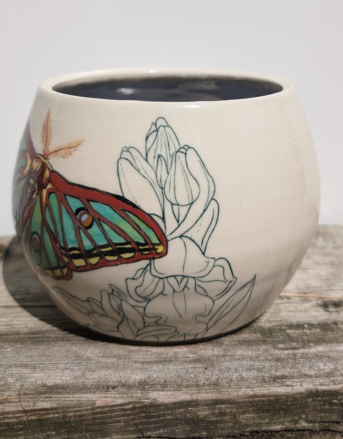 Melissa Rohrs- Spanish Moon Moth and Orchids Planter