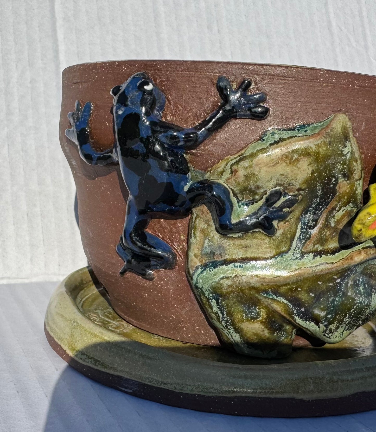 Kaitlyn Smith- Dart Frog Planter