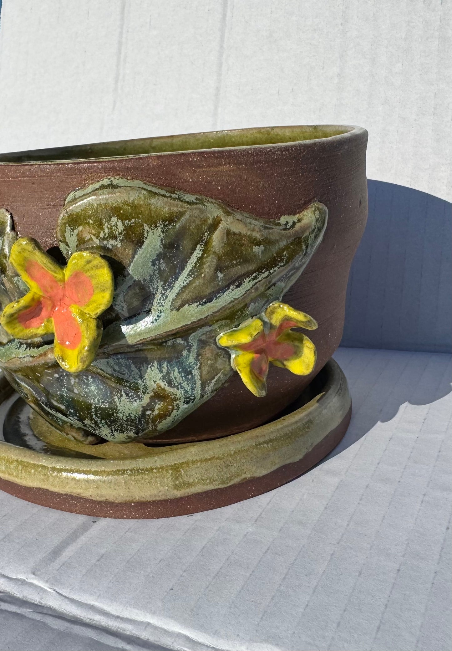 Kaitlyn Smith- Dart Frog Planter