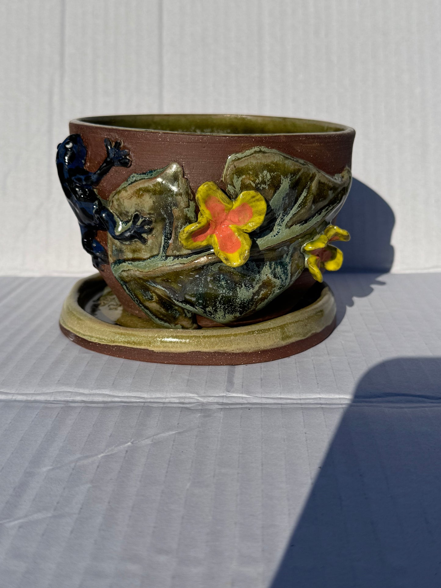 Kaitlyn Smith- Dart Frog Planter
