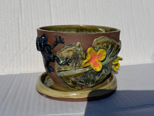 Kaitlyn Smith- Dart Frog Planter