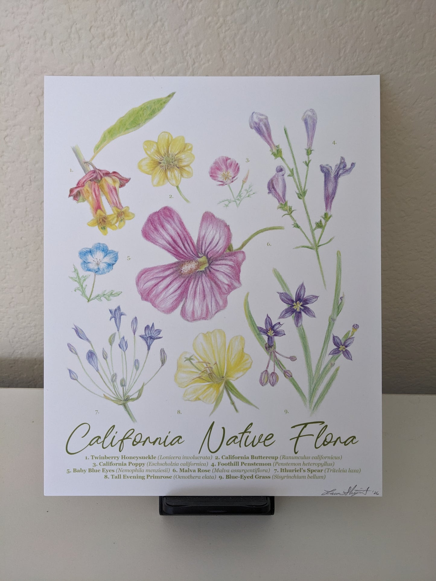 Laura Shigemoto- California Native Flora A