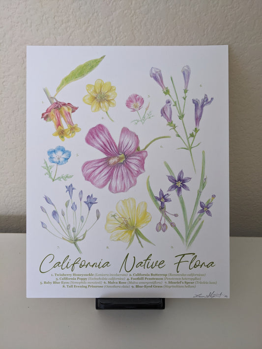 Laura Shigemoto- California Native Flora A