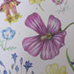 Laura Shigemoto- California Native Flora B