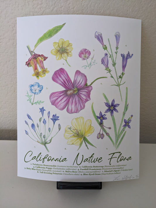 Laura Shigemoto- California Native Flora C