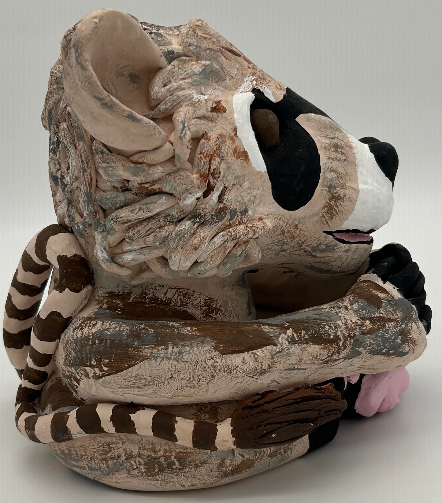 Alyssa Danielle- Pygmy Raccoon and Lion