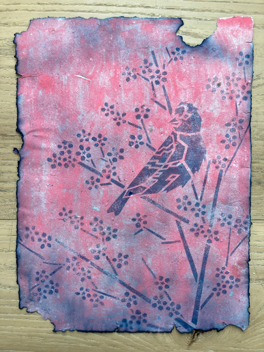 Joelle Cook- Redpoll with Cherry Blossoms