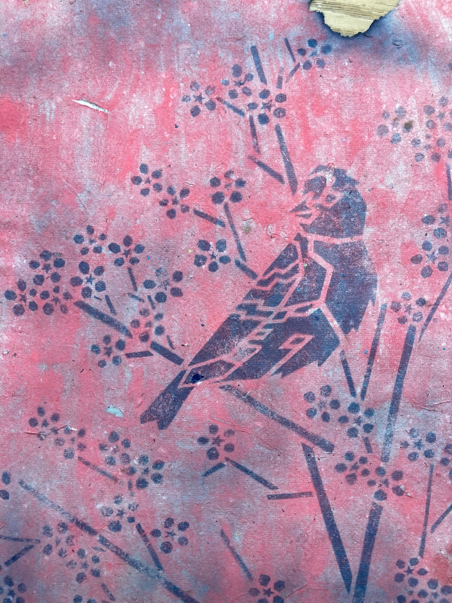 Joelle Cook- Redpoll with Cherry Blossoms