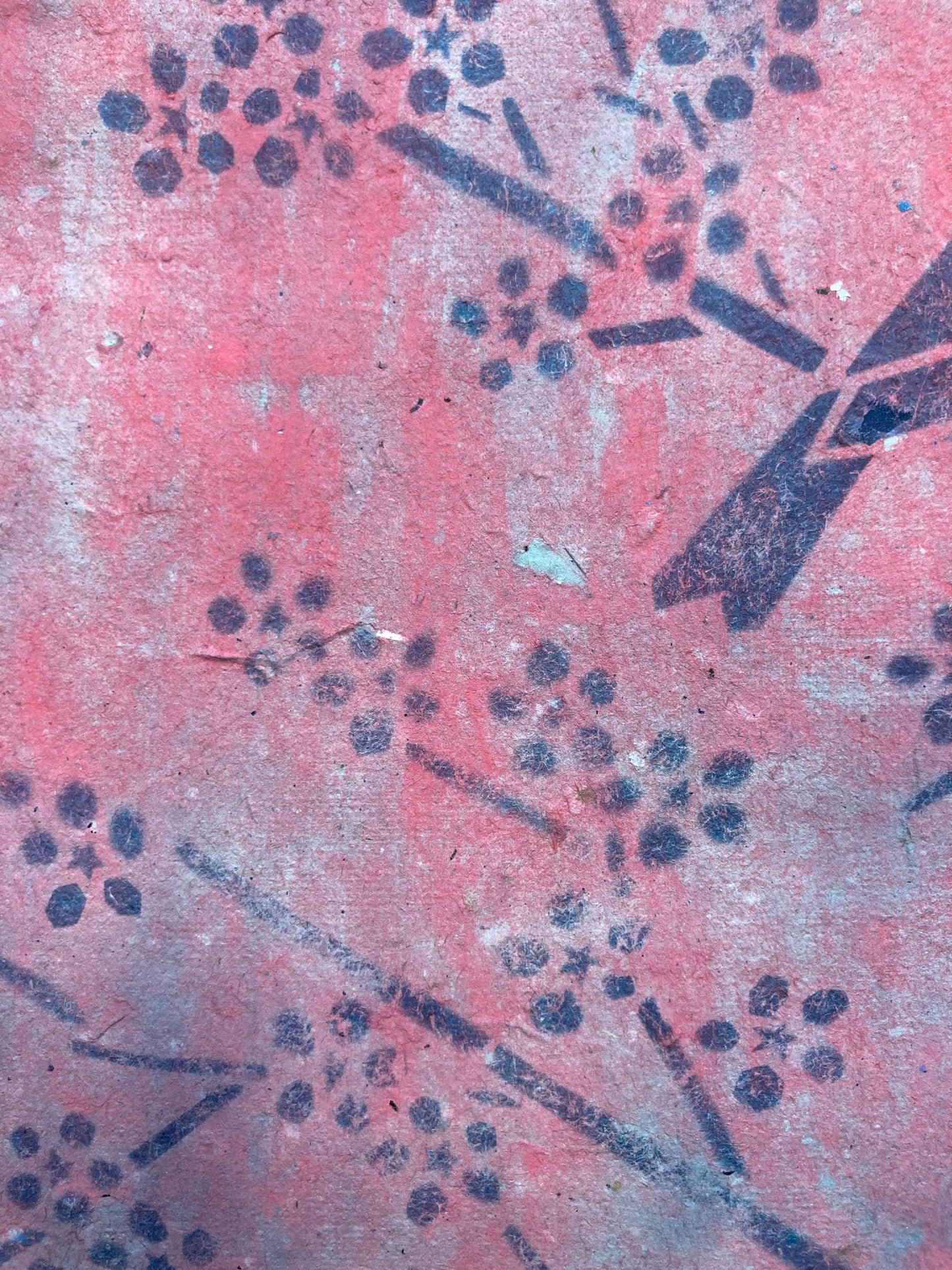 Joelle Cook- Redpoll with Cherry Blossoms