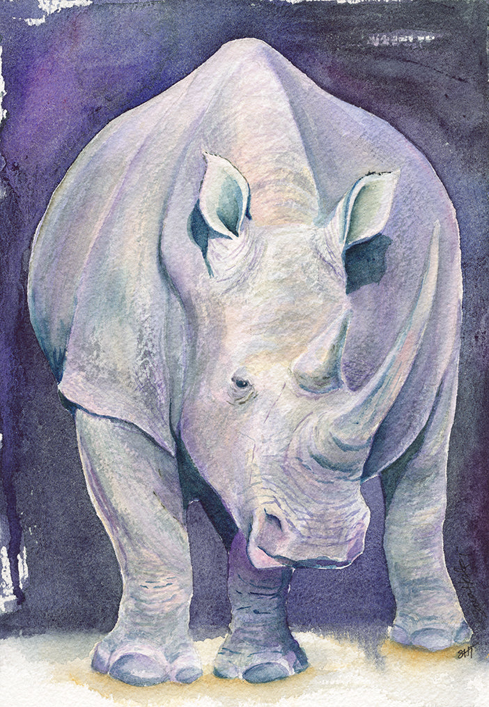 Sara Heslop- Rhino