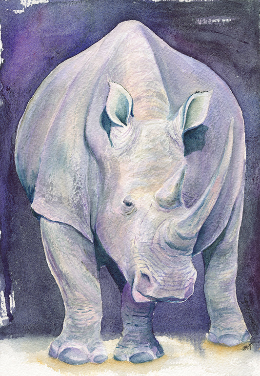 Sara Heslop- Rhino