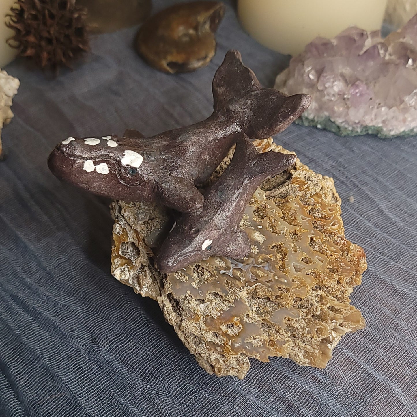 Amber Rae Malott- North Atlantic Right Whale Sculpture on Fossilized Coral