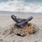 Amber Rae Malott- North Atlantic Right Whale Sculpture on Fossilized Coral