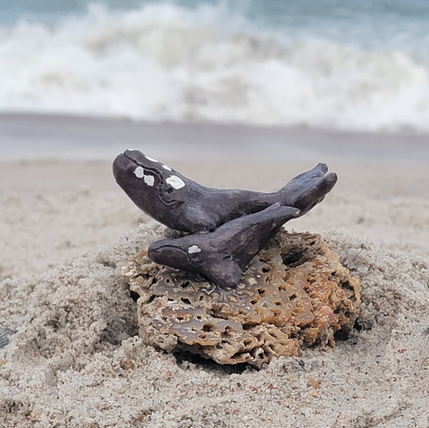 Amber Rae Malott- North Atlantic Right Whale Sculpture on Fossilized Coral