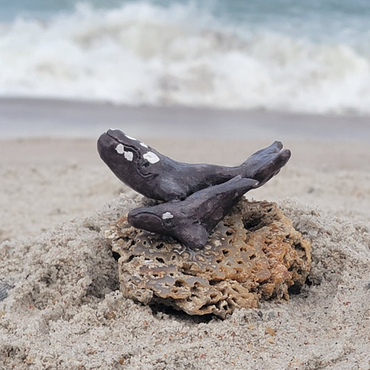 Amber Rae Malott- North Atlantic Right Whale Sculpture on Fossilized Coral