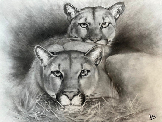 Kelly Lewis- Shared Silence