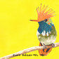 Elodie Guéguen-Teil- Short Crested Coquette (Lophornis brachylophus)