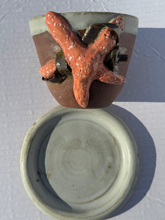 Kaitlyn Smith- Starfish Planter