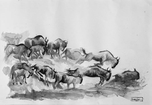 Annabel Schoen- The Mighty Wildebeest Migration (Original)