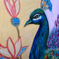 Ali Hassan- Fauna mundial