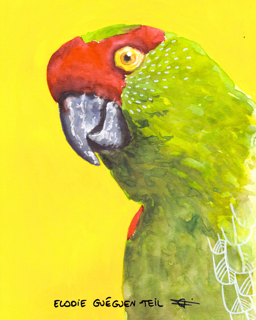Ali Hassan- Fauna mundial
